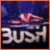 BUSH